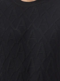 Худи и свитшоты Armani Exchange модель 6HZM1W-ZMZ1Z-1200 Фото