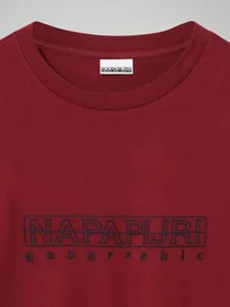 Худи и свитшоты Napapijri Sebel модель NP0A4EO7R541 Фото