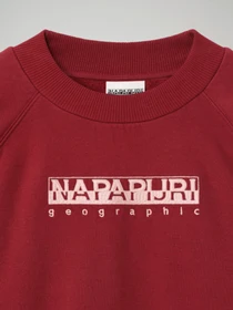 Худи и свитшоты Napapijri Bebel модель NP0A4EOGR541 Фото
