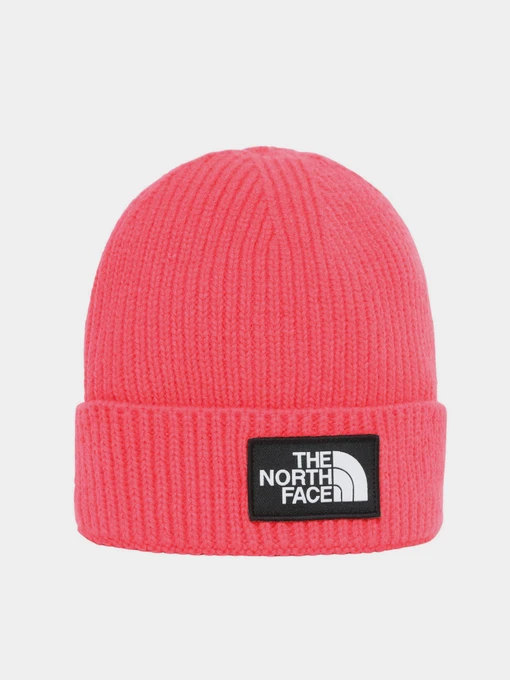 Шапки та кепки The North Face Box Logo модель NF0A3FMVR591 Фото