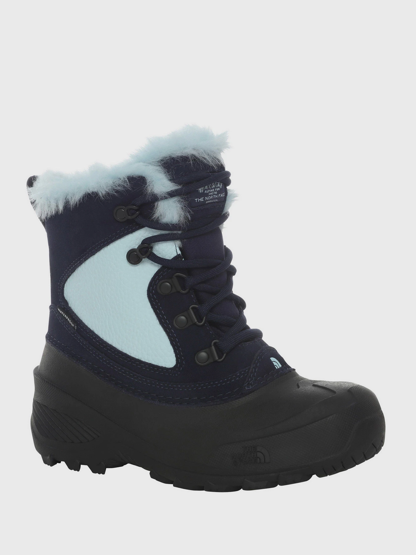 Ботинки и сапоги The North Face Shellista Extreme модель NF0A2T5VVDA1 Фото