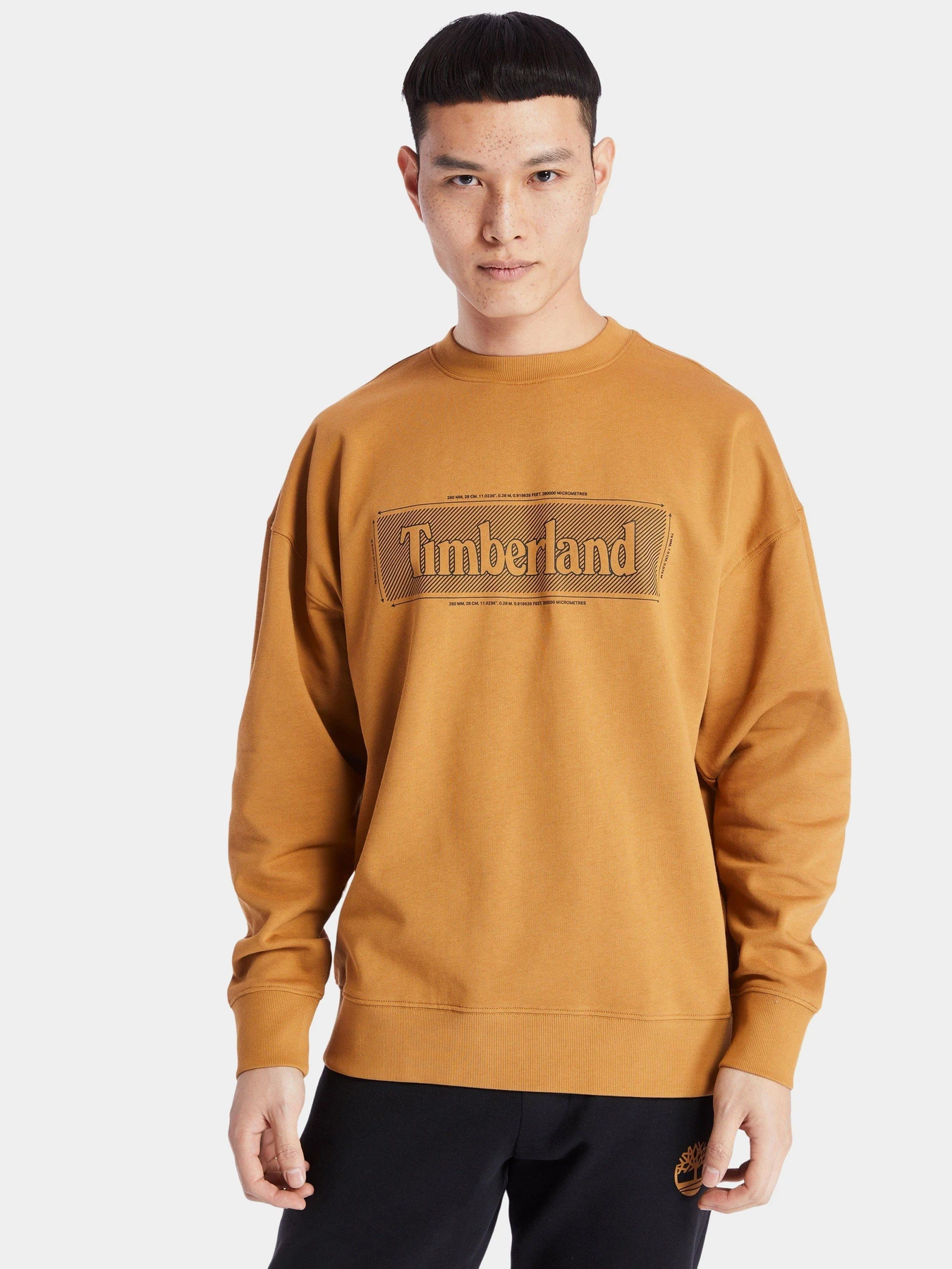 Худи и свитшоты Timberland Logo Crewneck модель TB0A2A14P47 Фото