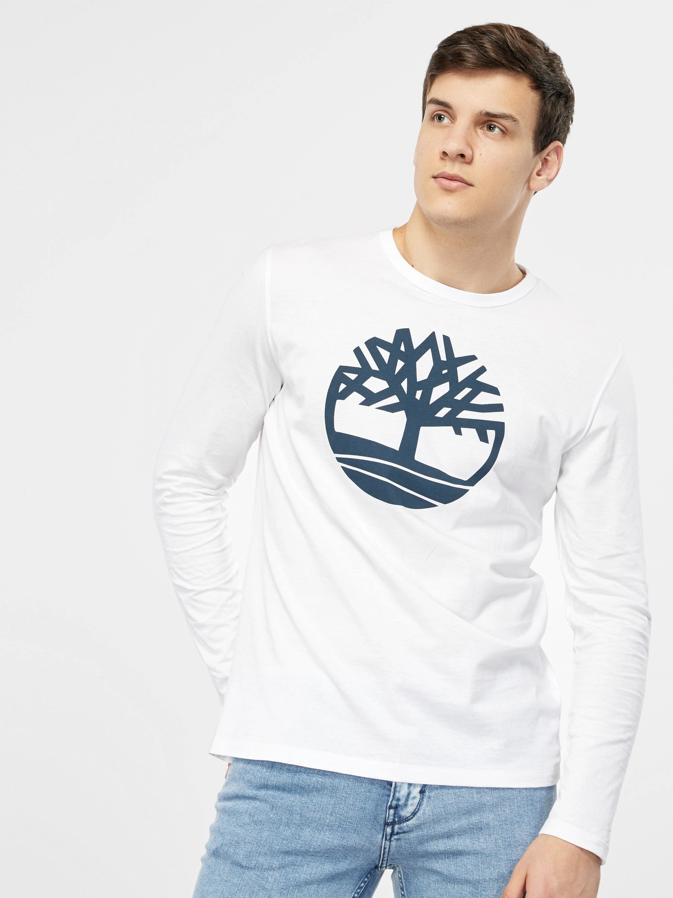 Худи и свитшоты Timberland Core Tree Logo модель TB0A2C6U100 Фото
