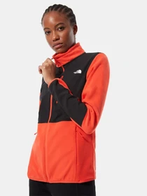 Худи и свитшоты The North Face DIABLO POLAR модель NF0A4SVSSH91 Фото
