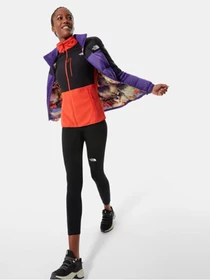 Худи и свитшоты The North Face DIABLO POLAR модель NF0A4SVSSH91 Фото