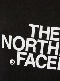Худи и свитшоты The North Face Drew Peak Crew модель NF0A3S4GJK31 Фото