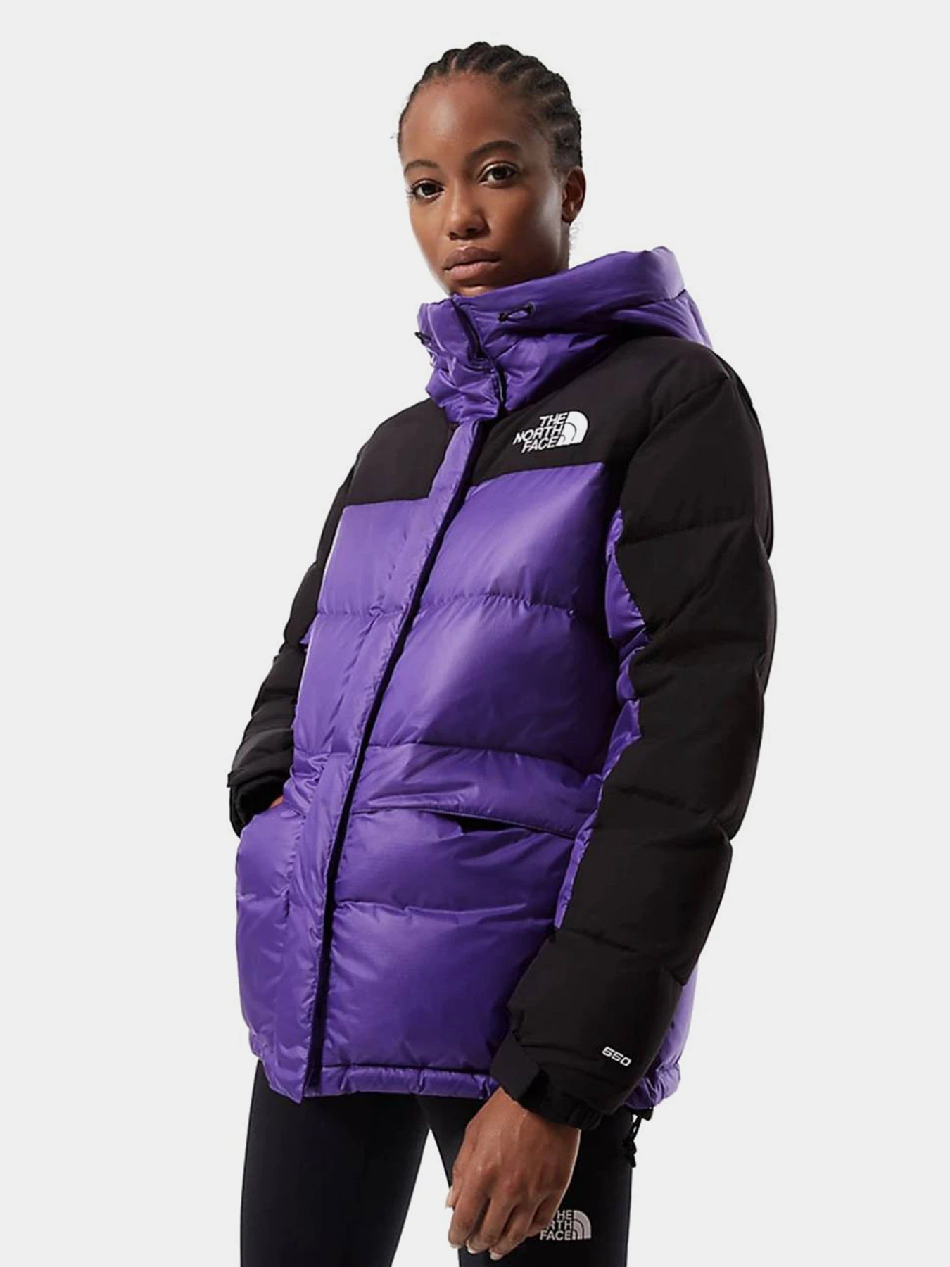 Куртки та дублянки The North Face 1994 RETRO HIMALAYAN модель NF0A4R2WNL41 Фото