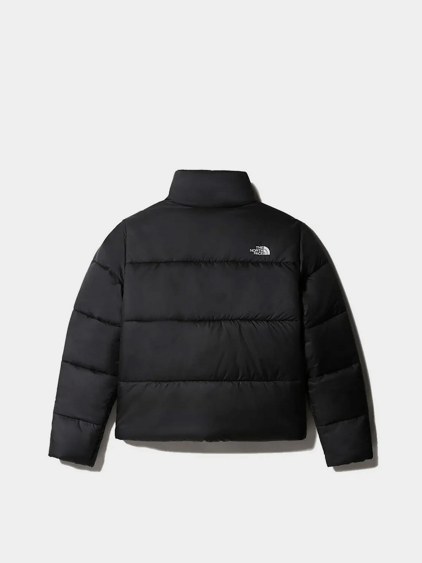 Куртки та дублянки The North Face Saikuru модель NF0A4WAPJK31 Фото