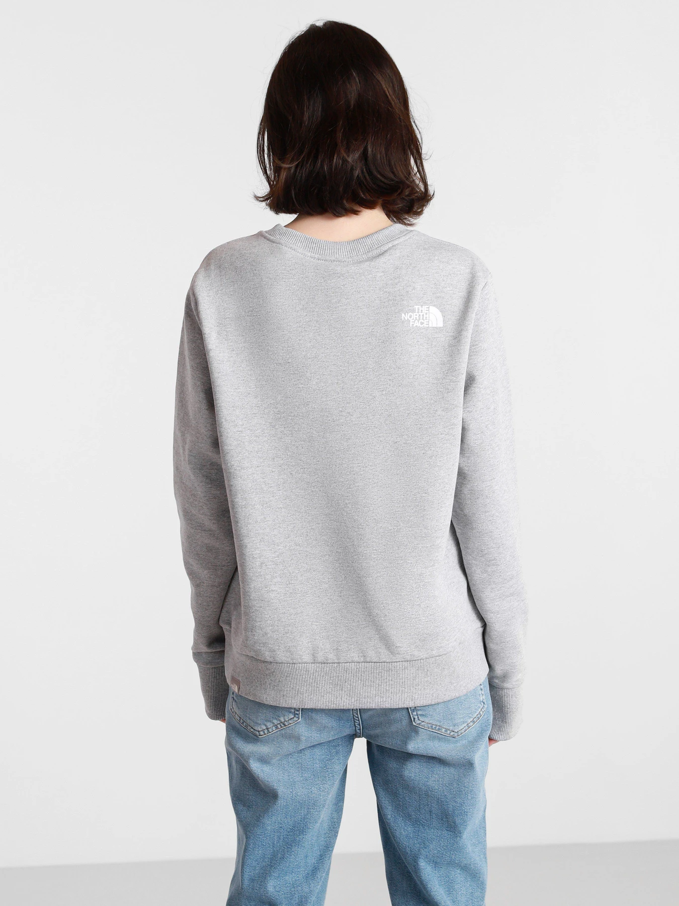 Худи и свитшоты The North Face Standard модель NF0A4M7EDYX1 Худи и свитшоты The North Face Standard модель NF0A4M7EDYX1 Фото