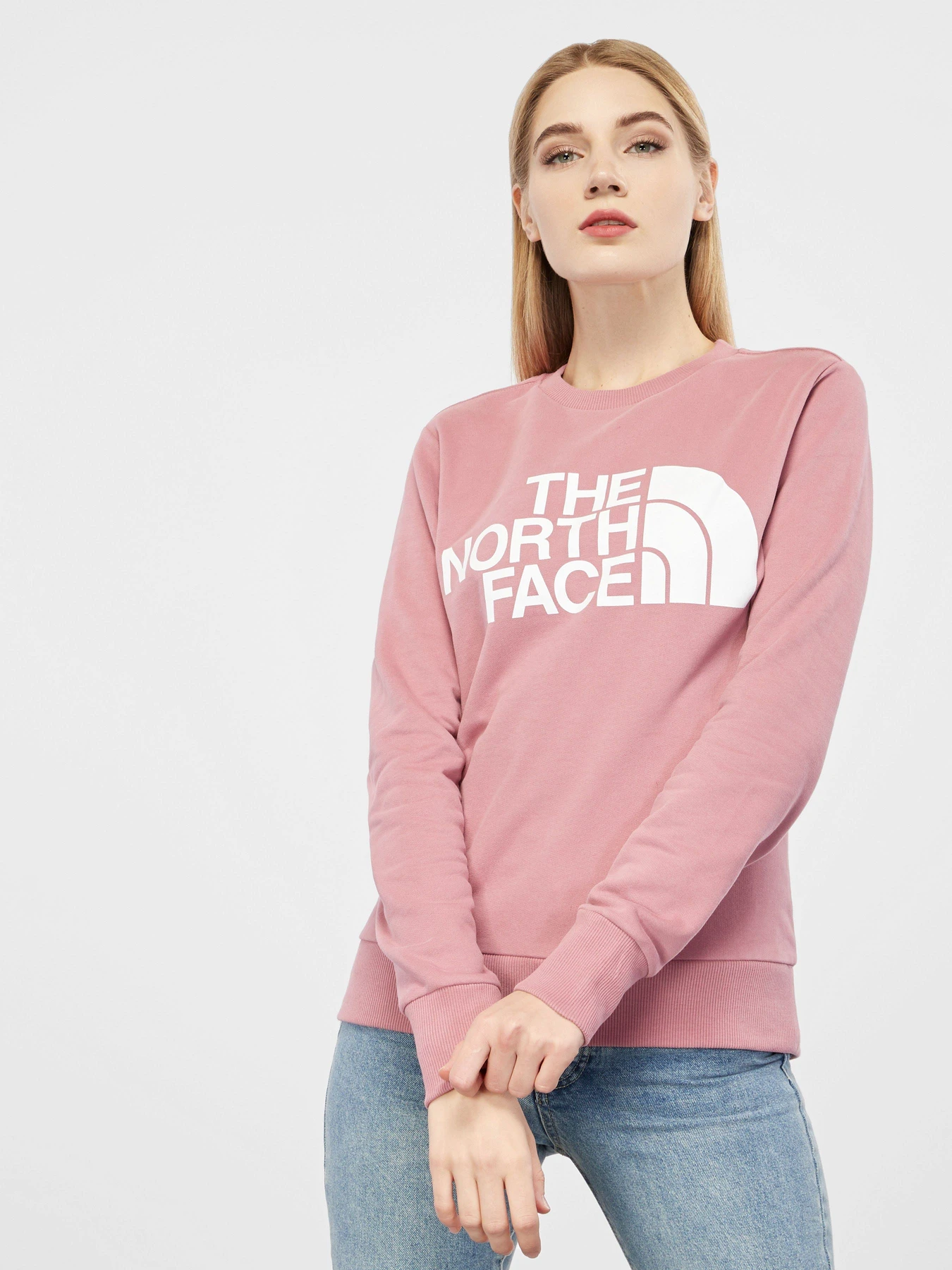 Худи и свитшоты The North Face Standard модель NF0A4M7ERN21 Фото