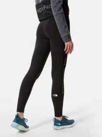 Брюки The North Face TRAIN модель NF0A4SW5JK31 Фото