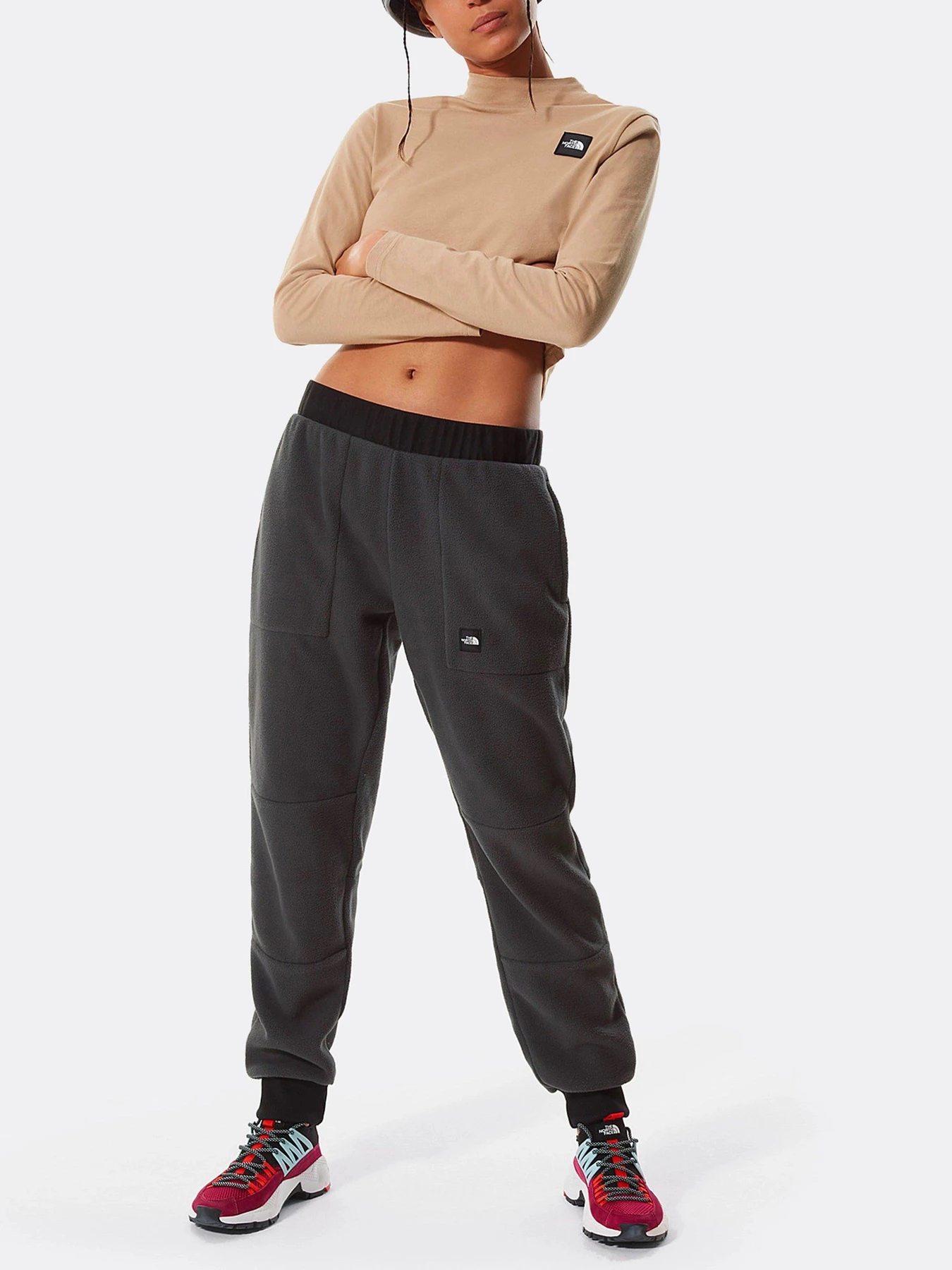 Брюки The North Face Logo Patch Detail модель NF0A4M7J0C51 Фото