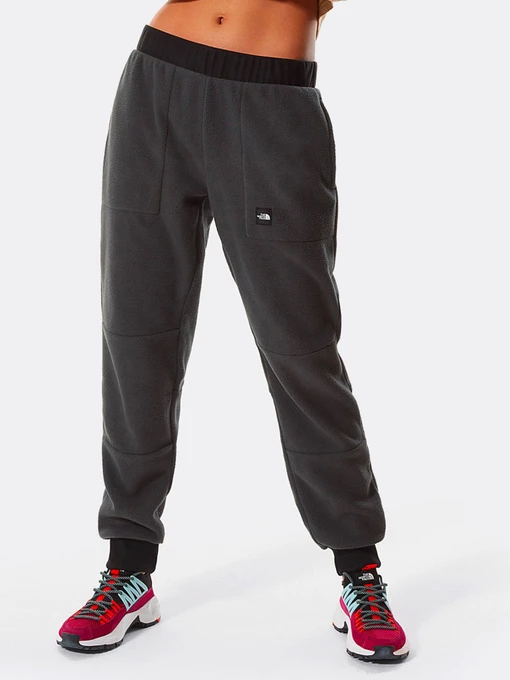 Брюки The North Face Logo Patch Detail модель NF0A4M7J0C51 Фото