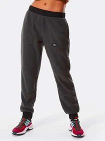 Брюки The North Face Logo Patch Detail модель NF0A4M7J0C51 Фото