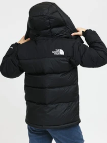 Куртки та дублянки The North Face Hmlyn модель NF0A4R2WJK31 Фото