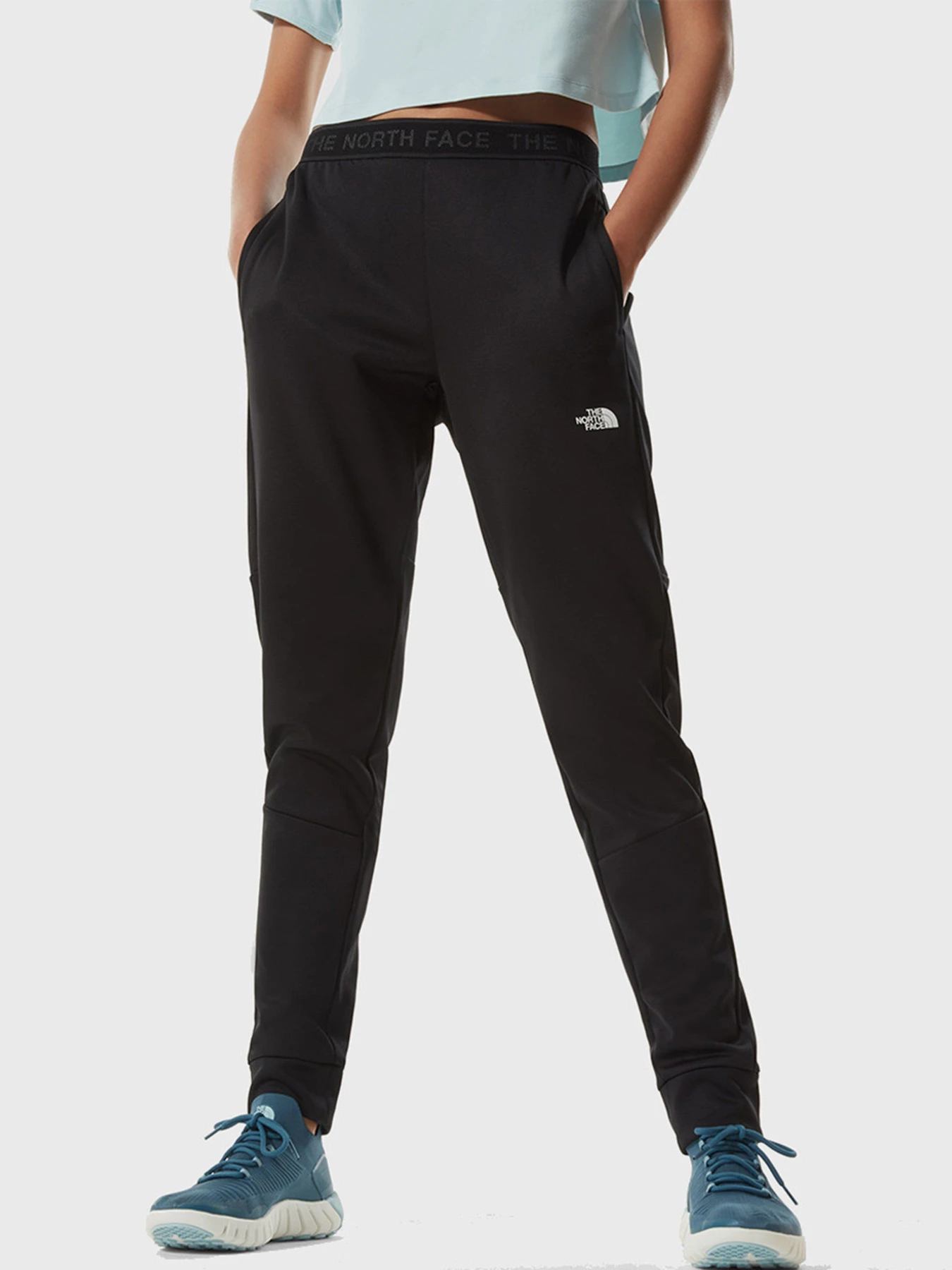 Брюки The North Face TRAIN модель NF0A4SW2JK31 Фото