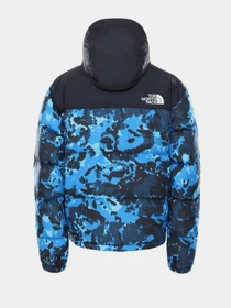Куртки и дубленки The North Face 1996 Retro Nuptse модель NF0A3C8DTPZ1 Фото