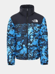 Куртки и дубленки The North Face 1996 Retro Nuptse модель NF0A3C8DTPZ1 Фото