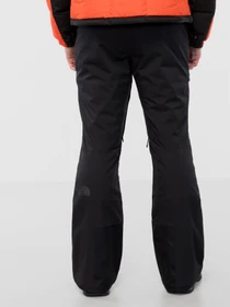 Брюки The North Face Chakal модель NF0A4QXGJK31 Фото