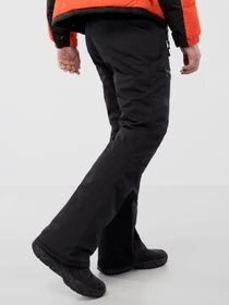 Брюки The North Face Chakal модель NF0A4QXGJK31 Фото
