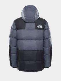 Куртки та дублянки The North Face Deptford Down модель NF0A3MJLF9L1 Фото