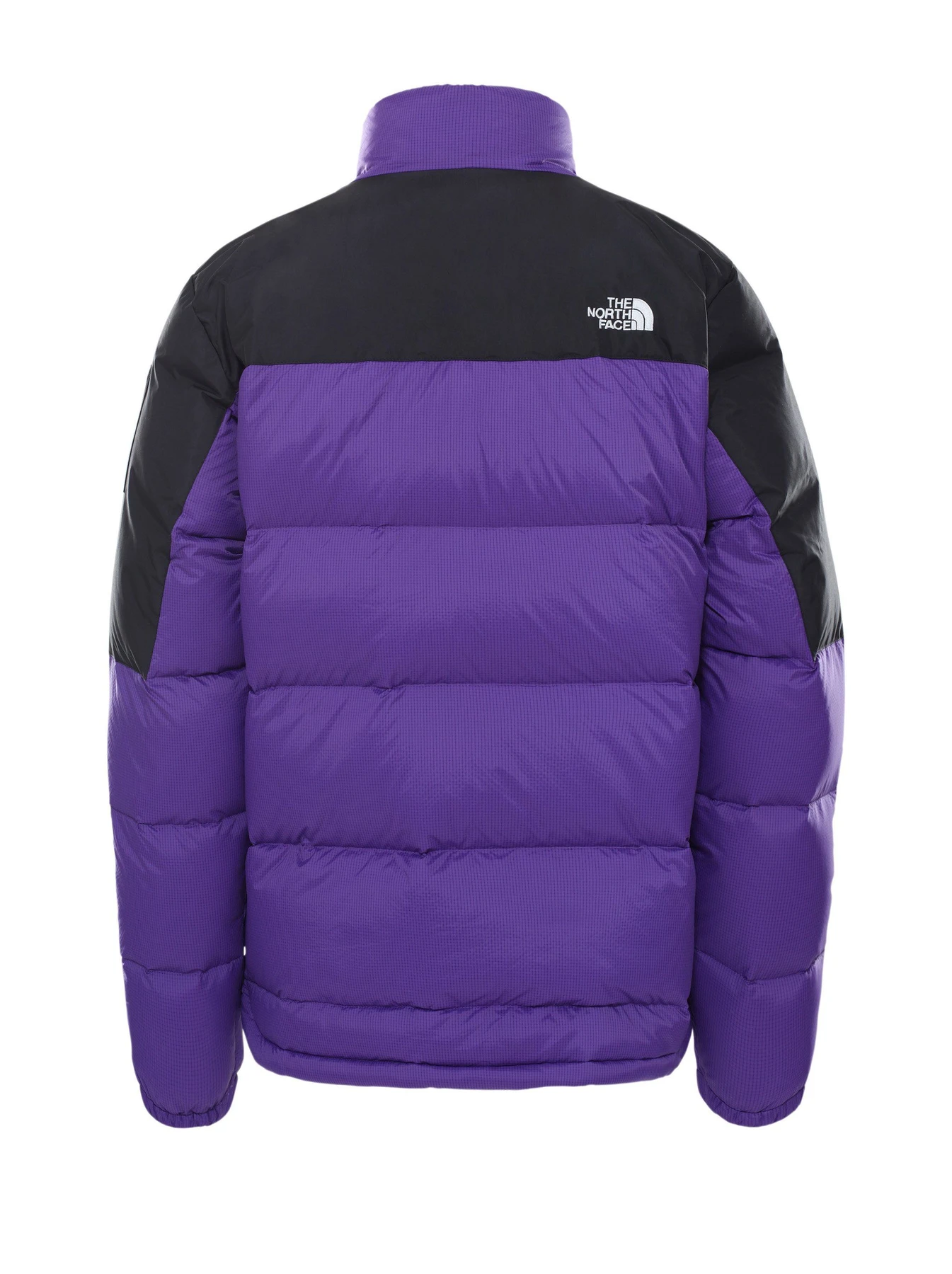 Куртки и дубленки The North Face Diablo модель NF0A4M9JS961 Фото