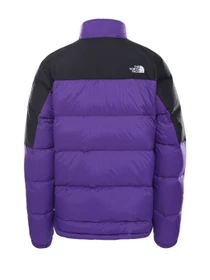 Куртки и дубленки The North Face Diablo модель NF0A4M9JS961 Фото