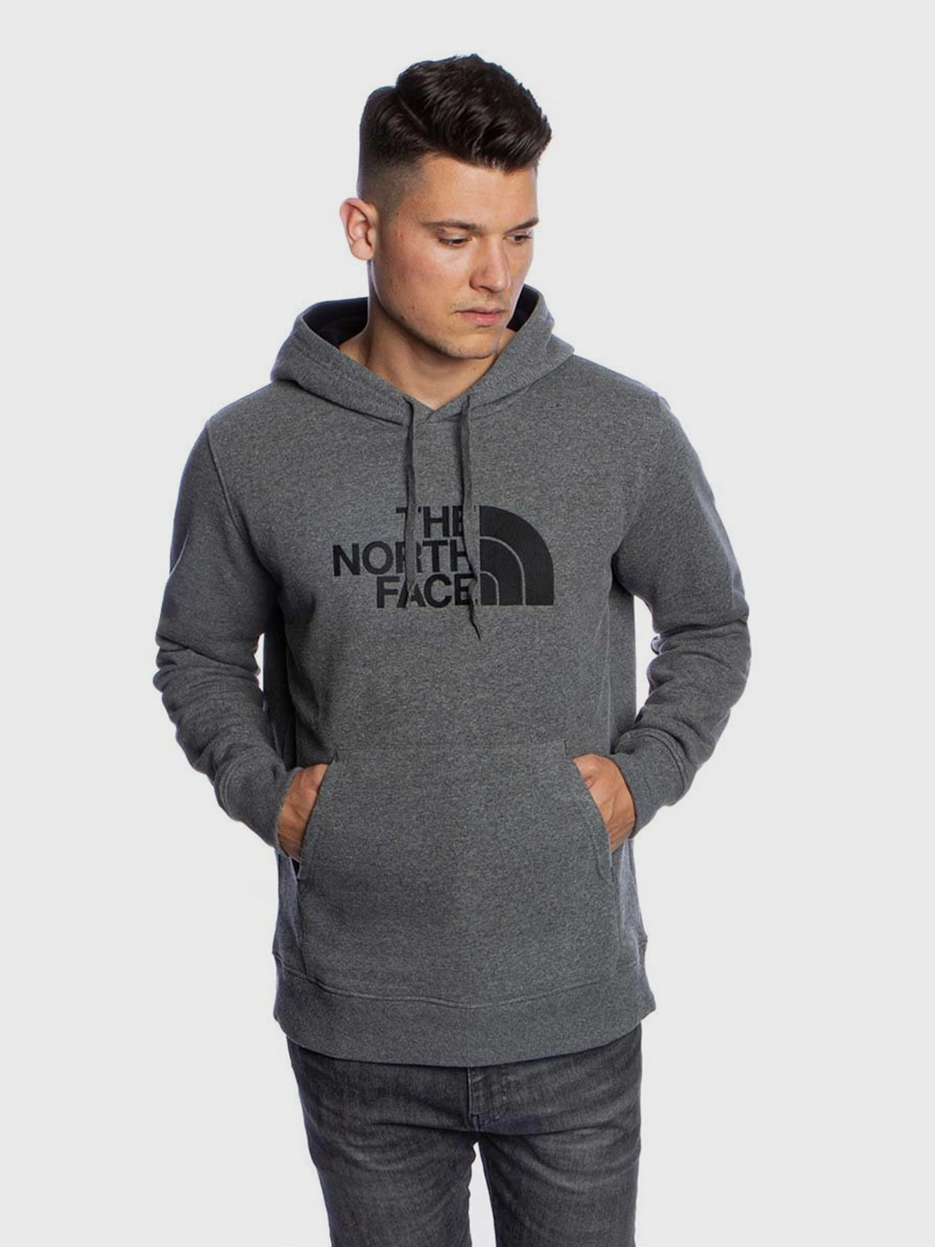 Худі та світшоти The North Face Drew Peak модель NF00AHJYLXS1 Худі та світшоти The North Face Drew Peak модель NF00AHJYLXS1 Фото