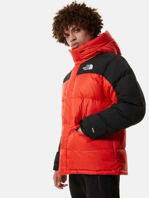 Куртки и дубленки The North Face Himalayan модель NF0A4QYXR151 Фото
