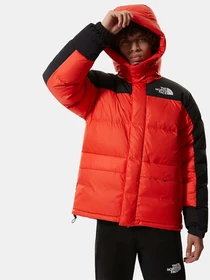 Куртки та дублянки The North Face Himalayan модель NF0A4QYXR151 Фото
