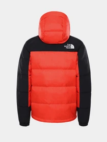 Куртки та дублянки The North Face Himalayan модель NF0A4QYXR151 Фото