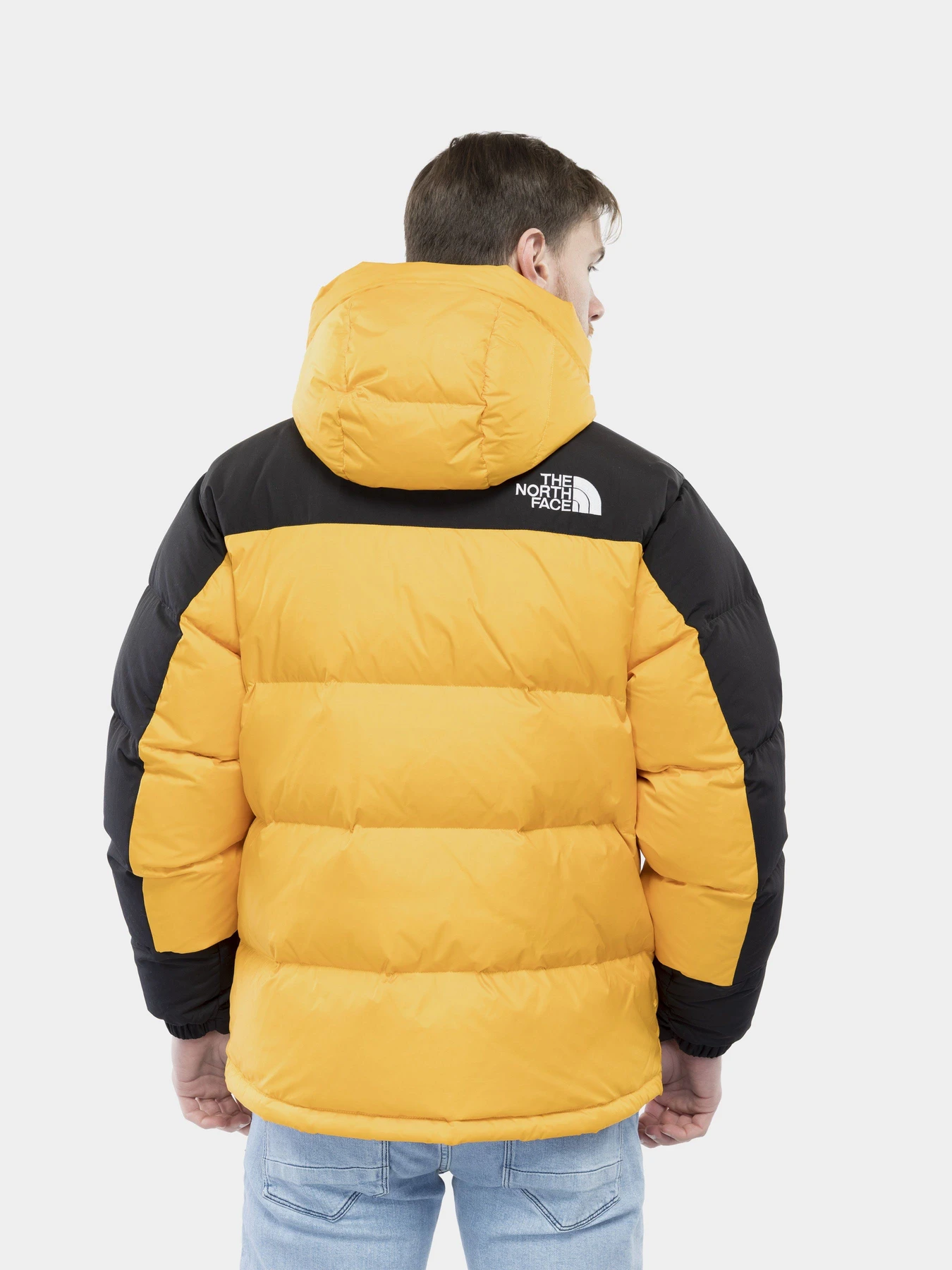 Куртки и дубленки The North Face Himalayan модель NF0A4QYX56P1 Фото