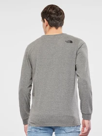 Худи и свитшоты The North Face Simple Dome модель NF0A3L3BDYY1 Фото