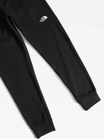 Брюки The North Face Nse Outdoor модель NF0A4SVQJK31 Фото