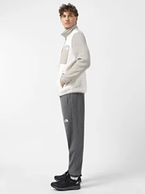 Брюки The North Face NSE модель NF0A4SVQDYY1 Фото