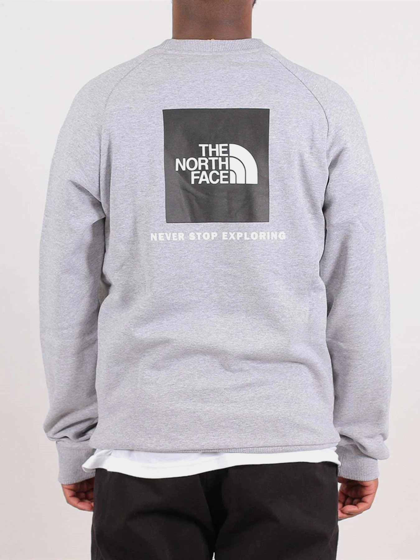 Худі та світшоти The North Face Red Box модель NF0A4SZ9DYX1 Фото