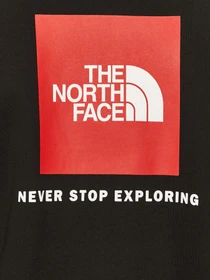 Худи и свитшоты The North Face Raglan Redbox модель NF0A4SZ9KX91 Фото