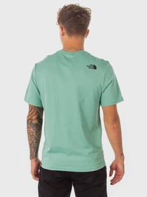 Футболки и поло The North Face S/S Fine Tee модель NF00CEQ5RN61 Фото