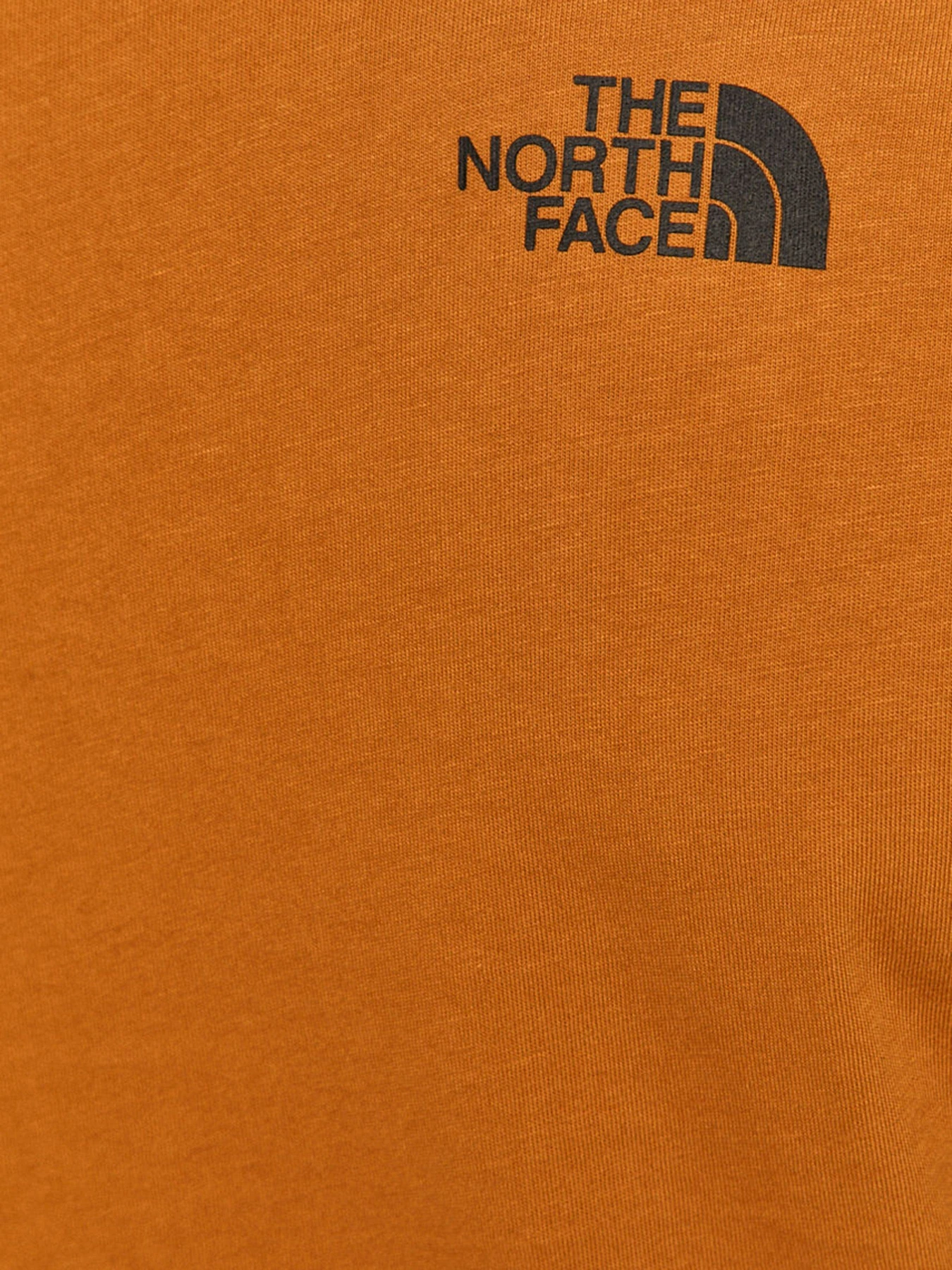Футболки и поло The North Face S/S Fine Tee модель NF00CEQ5VC71 Фото