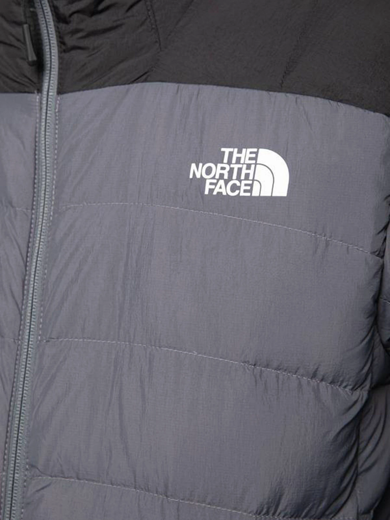 Куртки та дублянки The North Face Lapaz модель NF00CYG91741 Куртки та дублянки The North Face Lapaz модель NF00CYG91741 Фото