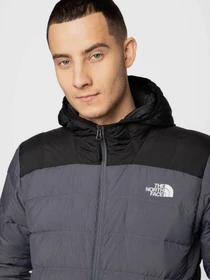 Куртки та дублянки The North Face Lapaz модель NF00CYG91741 Фото