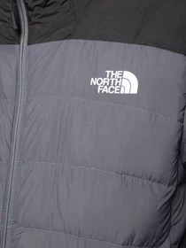 Куртки та дублянки The North Face Lapaz модель NF00CYG91741 Фото