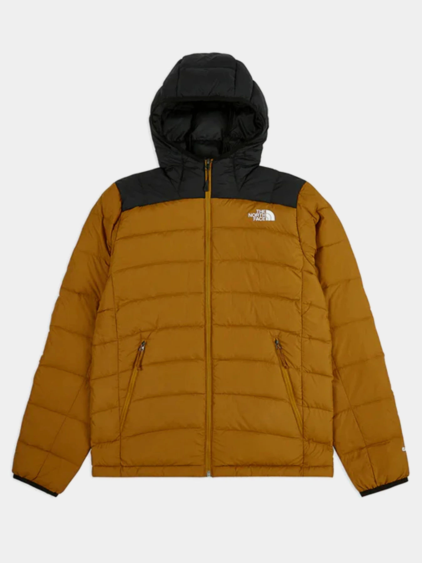 Куртки та дублянки The North Face Lapaz модель NF00CYG9VC71 Фото