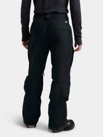 Брюки The North Face Slashback Cargo Skihose модель NF0A3M42JK31 Фото