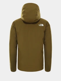 Куртки та дублянки The North Face CARTO TRICLIMATE® модель NF0A3SS45TU1 Фото