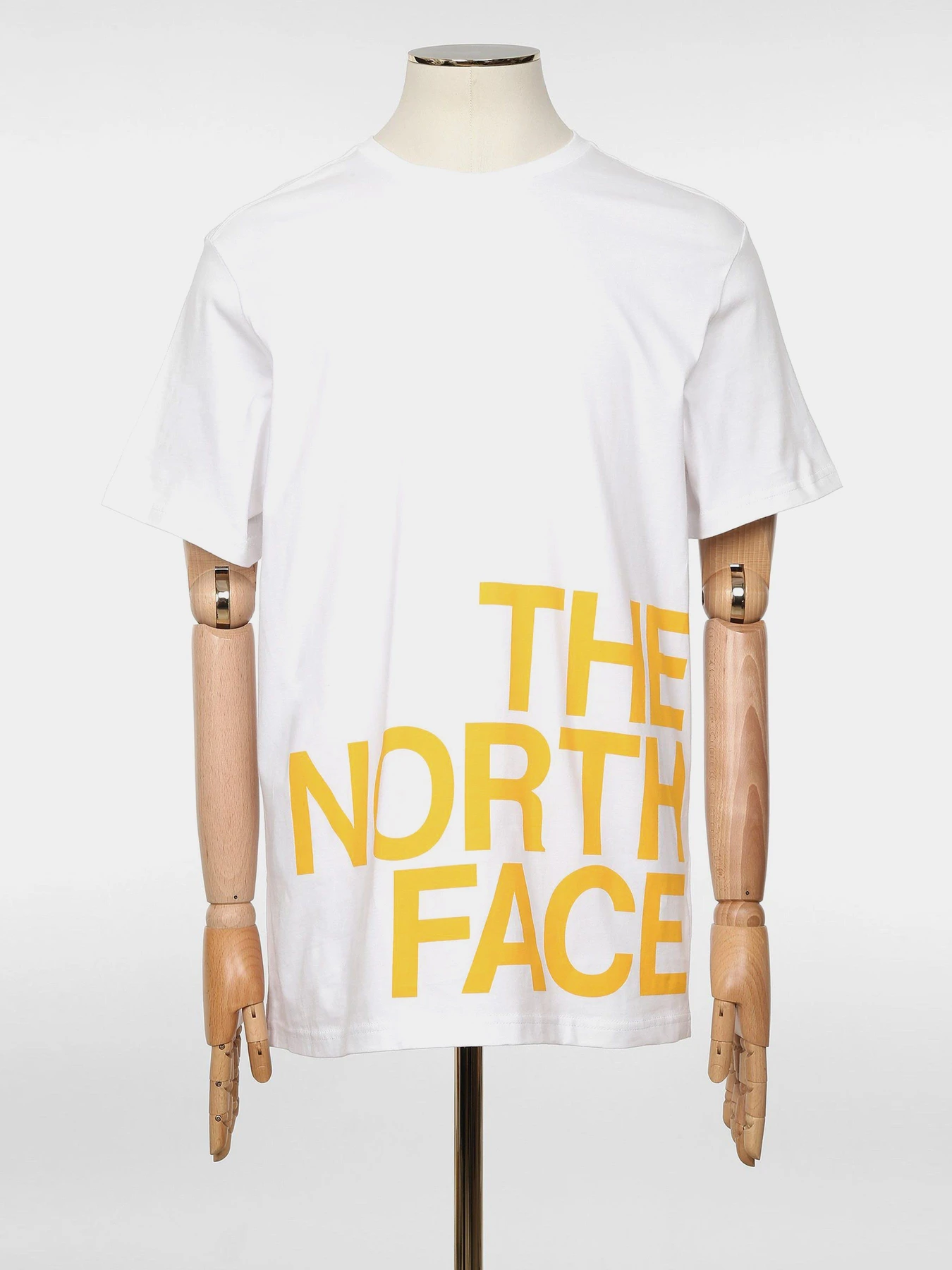 Футболки и поло The North Face SS Graphic Flow 1 модель NF0A4926TU21 Футболки и поло The North Face SS Graphic Flow 1 модель NF0A4926TU21 Фото