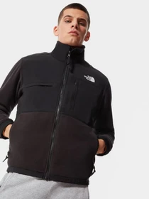 Худи и свитшоты The North Face Denali 2 модель NF0A4QYJJK31 Фото