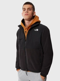 Худи и свитшоты The North Face Denali 2 модель NF0A4QYJJK31 Фото