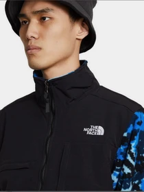 Худи и свитшоты The North Face Denali 2 модель NF0A4QYJV171 Фото