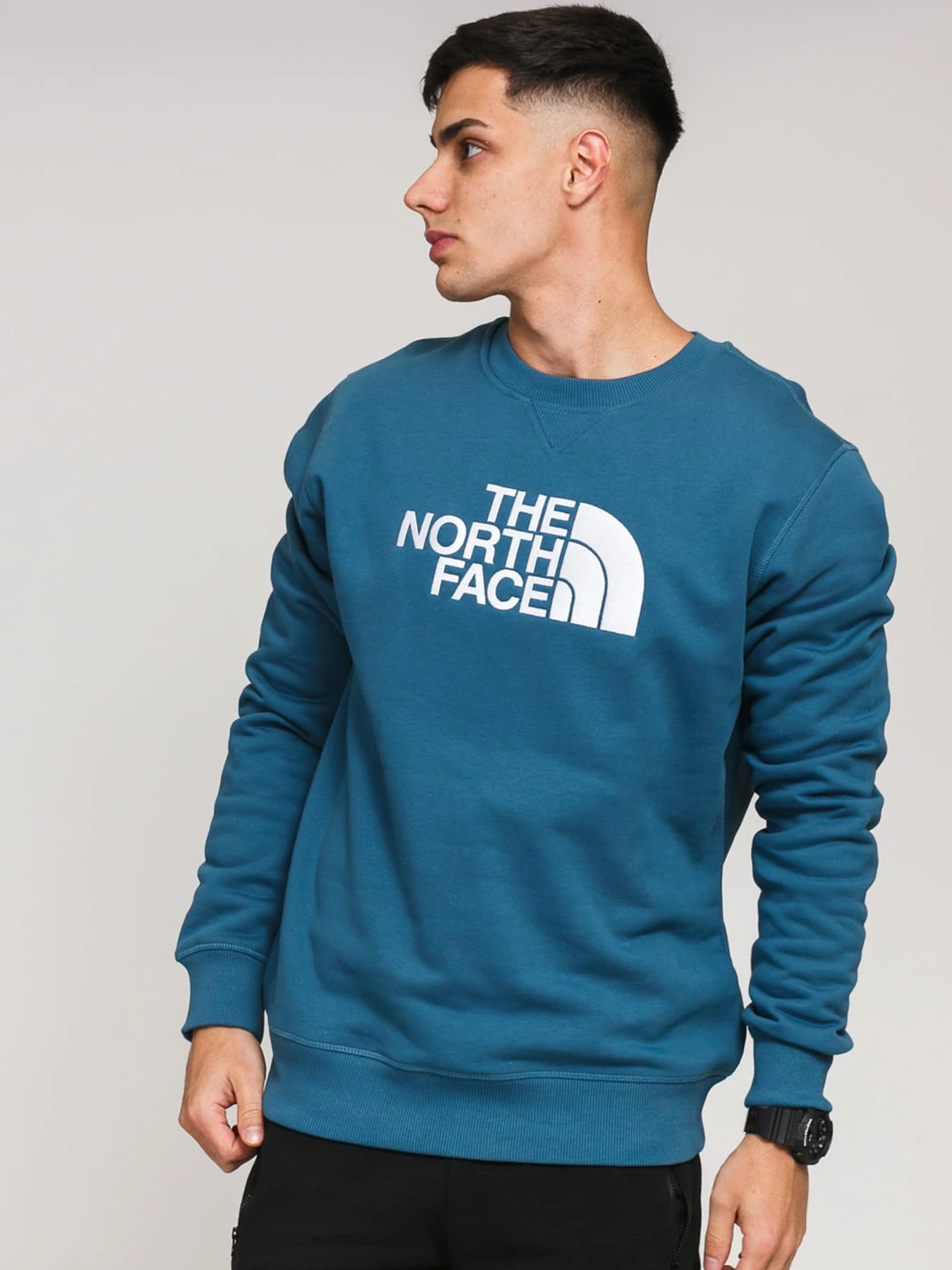 Худи и свитшоты The North Face Drew Peak модель NF0A4SVRTAS1 Фото